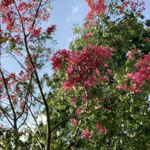 Meet your Posher, Itzel